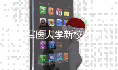 大学工 体搬空军利竣年整新校军医计划区顺迁